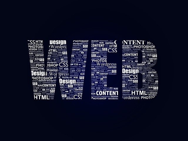 Web Platformu